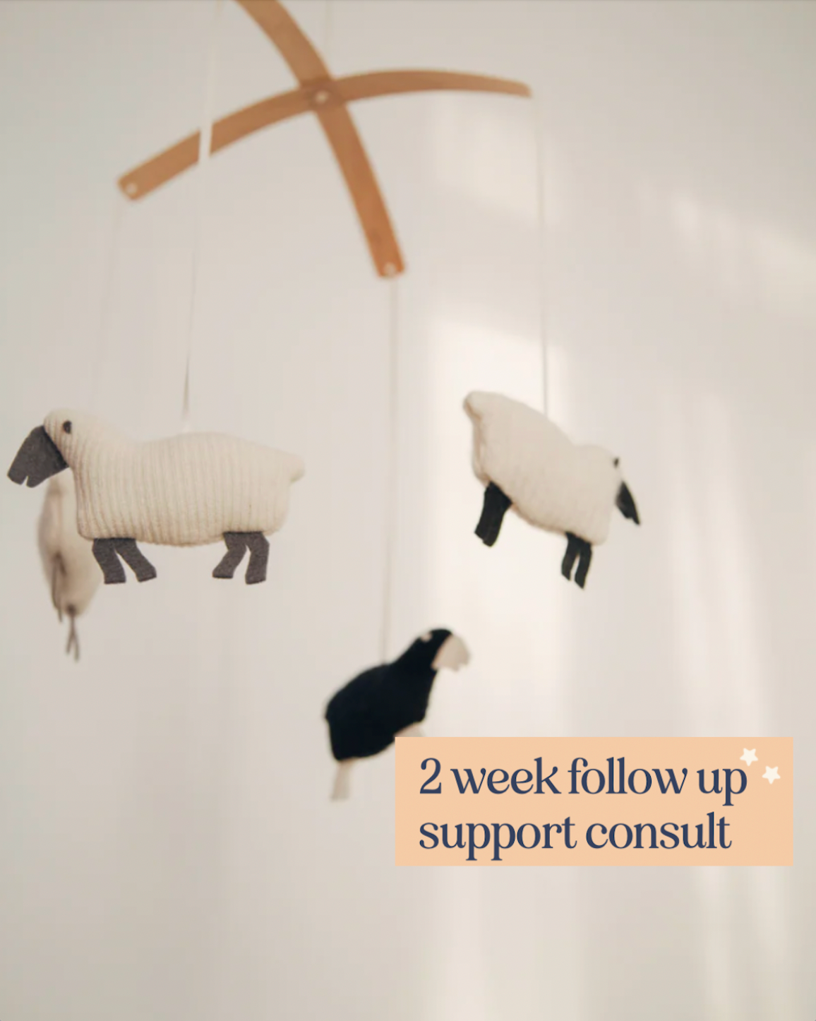 2 Week Follow Up Consult - Exhausted from Sleepless Nights?