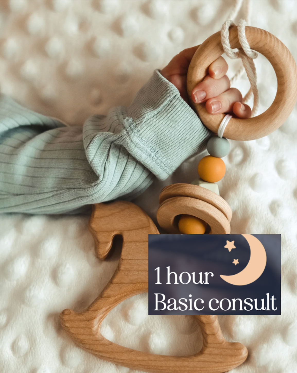 1hr Basic Consult